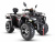 Квадроцикл MOTAX Grizlik 300 cc