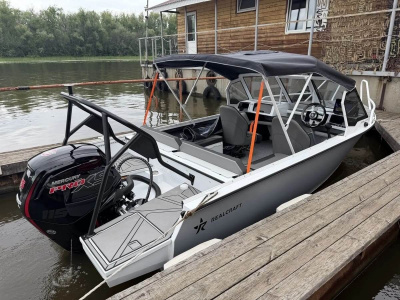 Моторная лодка Realcraft 510 NS