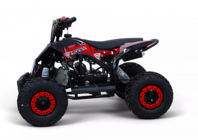Детский квадроцикл MOTAX GEKKON 110