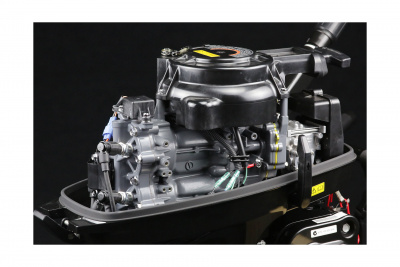 Лодочный мотор Suzuki DT9.9AS