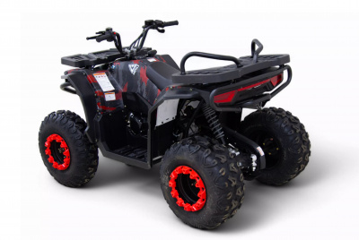 Квадроцикл MOTAX GRIZLIK Y300 2025 New