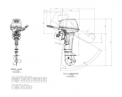 Лодочный мотор Suzuki DT9.9AS