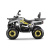 Квадроцикл GLADIATOR F200 LUX серый с псм