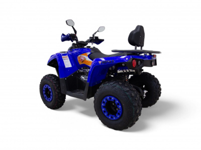 Квадроцикл MOTAX Grizlik 200 Ultra 2025 New
