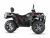 Квадроцикл MOTAX Grizlik 300 cc