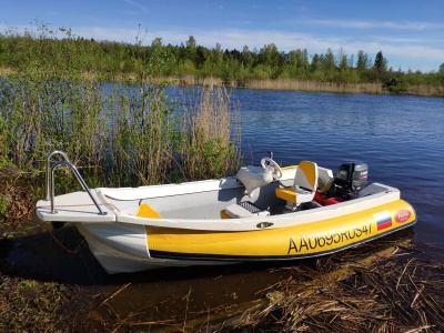 Надувная моторная лодка FORTIS 460Z РИБ