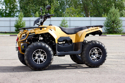 Квадроцикл IRBIS ATV200 New с ПСМ
