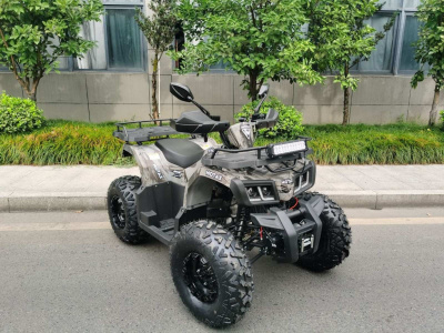 Квадроцикл MOTAX GRIZLIK T200 LUX 2025 New