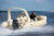 Лодка РИБ Skylark BR600 Лодка РИБ Skylark BR600