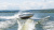 Комбинированная лодка Victory 570 Open