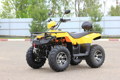 Квадроцикл IRBIS ATV 200 PREMIUM New с ПСМ