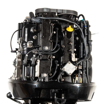 Лодочный мотор PARSUN F115FEL-T EFI